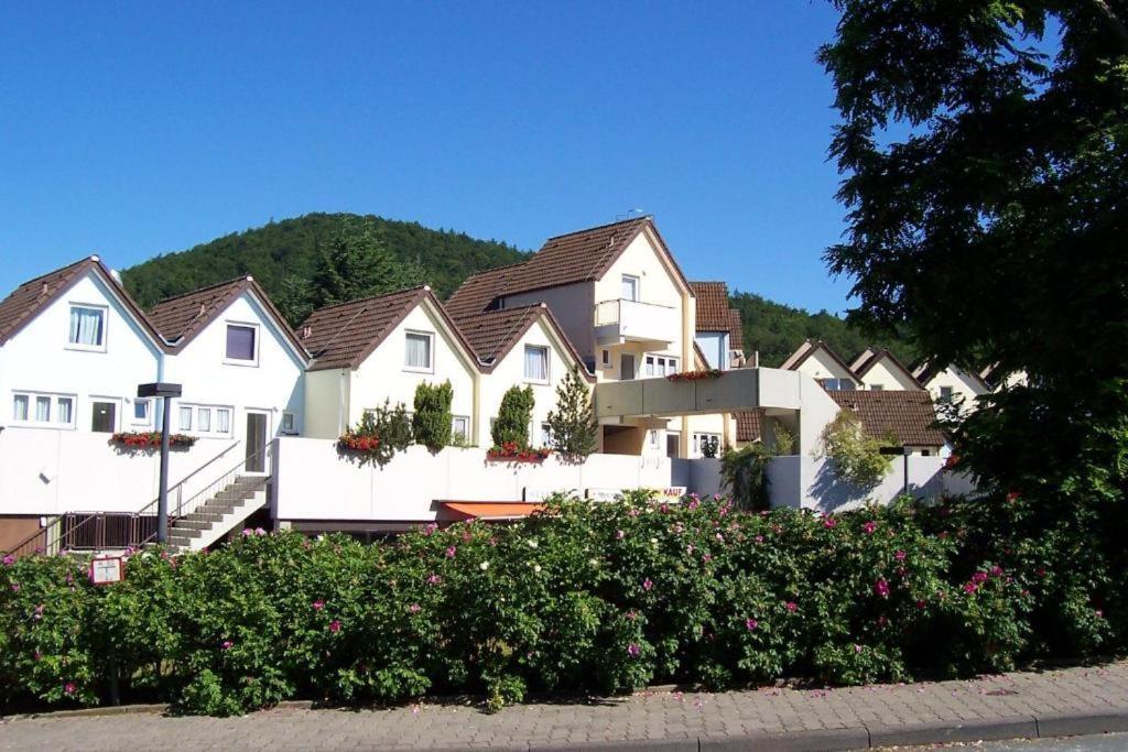 Helle 93M2 Fewo Mit 2 Schlafzimmern Am Edersee Scheid  エクステリア 写真